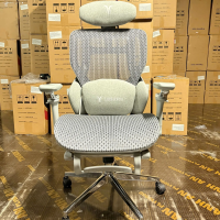 Ghế Công Thái Học LIKE REGA Lưng Lưới Êm Ái - CTH27