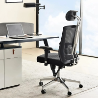 Ghế Lưới Công Thái Học Với Tựa Đầu Điều Chỉnh - CTH29 