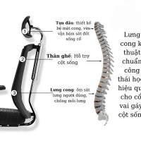 Ghế Lưới Công Thái Học Với Tựa Đầu Điều Chỉnh - CTH29 