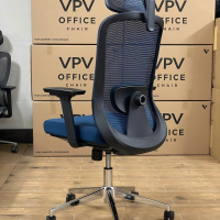 Ghế Xoay Công Thái Học Lưng Lưới Hỗ Trợ Cột Sống - GX83