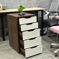 Hộc Tủ IKEA 5 Ngăn Tiện Lợi - TP52 