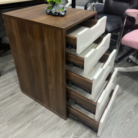 Hộc Tủ IKEA 5 Ngăn Tiện Lợi - TP52 