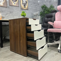 Hộc Tủ IKEA 5 Ngăn Tiện Lợi - TP52 