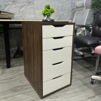 Hộc Tủ IKEA 5 Ngăn Tiện Lợi - TP52 