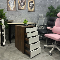 Hộc Tủ IKEA 5 Ngăn Tiện Lợi - TP52 