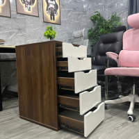 Hộc Tủ IKEA 5 Ngăn Tiện Lợi - TP52 