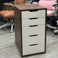 Hộc Tủ IKEA 5 Ngăn Tiện Lợi - TP52 