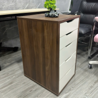 Hộc Tủ IKEA 5 Ngăn Tiện Lợi - TP52 