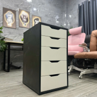 Hộc Tủ IKEA 5 Ngăn Tiện Lợi - TP52 