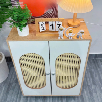 Kệ Giày Dép Cửa Lưới Mây Hiện Đại - KGD29