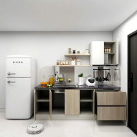 Tủ Bếp Thẳng Tối Giản Cho Căn Hộ Hiện Đại - TB29