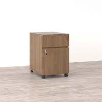Hộc Tủ Phụ Di Động Mini Có Cánh - TP3
