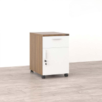 Hộc Tủ Phụ Di Động Mini Có Cánh - TP3