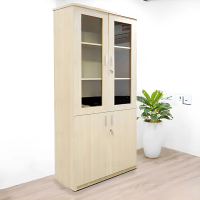 Tủ Văn Phòng 2 Cánh Tiện Lợi - THS248