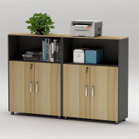 Tủ Văn Phòng Dáng Thấp Classic - THS13