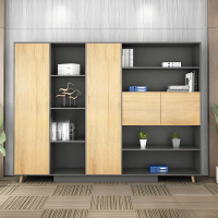 Tủ Tài Liệu Văn Phòng Thiết Kế Vượt Trội - THS227