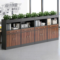 Tủ Tài Liệu Thiết Kế Thanh Lịch - THS224