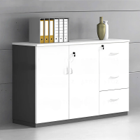 Tủ Tài Liệu Dạng Lửng Đẹp - THS218