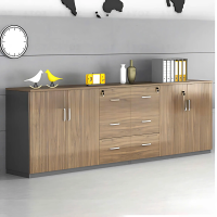 Tủ Tài Liệu Thấp Nhiều Ngăn Tiện Lợi - THS217