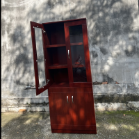 Tủ Tài Liệu Gỗ 2 Cánh Sơn PU - THS2
