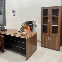 Tủ Tài Liệu Gỗ 2 Cánh Bolen - THS24