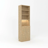 Tủ Tài Liệu Gỗ Thiết Kế Cánh Dưới Mở - THS288