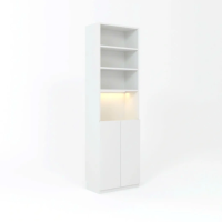 Tủ Tài Liệu Gỗ Thiết Kế Cánh Dưới Mở - THS288