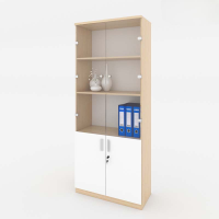 Tủ Văn Phòng Cánh Kính - THS70