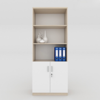 Tủ Văn Phòng Hiện Đại Cao Cấp - THS71