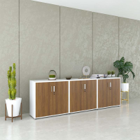 Tủ Tài Liệu Gỗ Lưu Trữ Dữ Liệu Bảo Mật - THS86