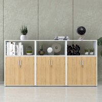Tủ Văn Phòng Dạng Lửng Có Kệ - THS91