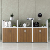 Tủ Văn Phòng Dạng Lửng Có Kệ - THS91