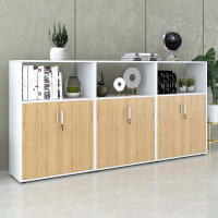 Tủ Văn Phòng Dạng Lửng Có Kệ - THS91