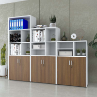 Tủ Tài Liệu Có Kệ Tầng Trang Trí  - THS92