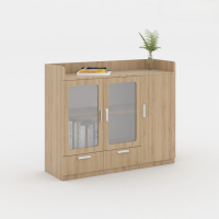Tủ Tài Liệu Dạng Lửng 2 Cánh Kính - THS93