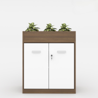 Tủ Văn Phòng Trang Trí Hiện Đại - THS102