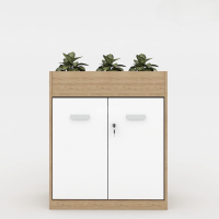 Tủ Văn Phòng Trang Trí Hiện Đại - THS102