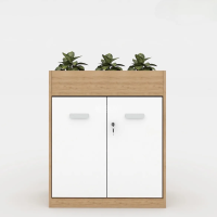 Tủ Văn Phòng Trang Trí Hiện Đại - THS102