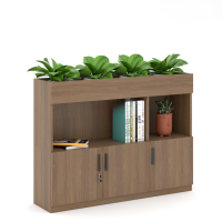 Tủ Văn Phòng Thấp Trang Trí Cây Xanh - THS104