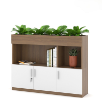 Tủ Văn Phòng Thấp Trang Trí Cây Xanh - THS104