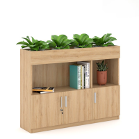 Tủ Văn Phòng Thấp Trang Trí Cây Xanh - THS104