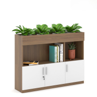 Tủ Văn Phòng Thấp Trang Trí Cây Xanh - THS104