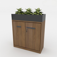 Tủ Văn Phòng Cây Xanh Trang Trí - THS106