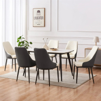 Ghế Ăn SUNNY Chân Sắt Tĩnh Điện - GA39