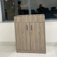 Tủ Văn Phòng Dạng Lửng Hiện Đại - THS149