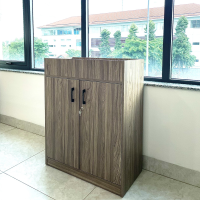 Tủ Văn Phòng Dạng Lửng Hiện Đại - THS149