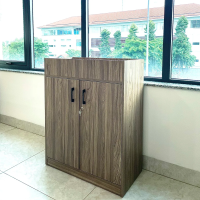 Tủ Văn Phòng Dạng Lửng Hiện Đại - THS149