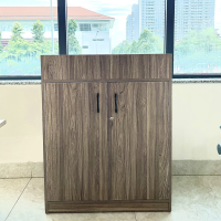 Tủ Văn Phòng Dạng Lửng Hiện Đại - THS149