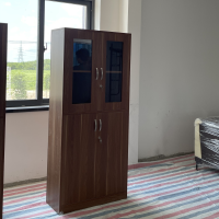 Tủ Văn Phòng 2 Cánh Kính 2 Cánh Gỗ - THS150