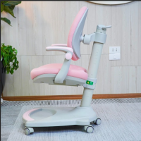 Ghế Học Sinh Chồng Gù Lưng - BGHS16